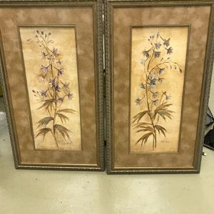 Two Beautiful Flower Designed Pictures